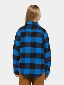Рубашки Dickies Kids Sacramento модель DK0A4Z3UJ531 Фото