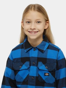Рубашки Dickies Kids Sacramento модель DK0A4Z3UJ531 Фото