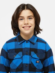 Рубашки Dickies Kids Sacramento модель DK0A4Z3UJ531 Фото
