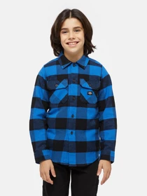 Рубашки Dickies Kids Sacramento модель DK0A4Z3UJ531 Фото