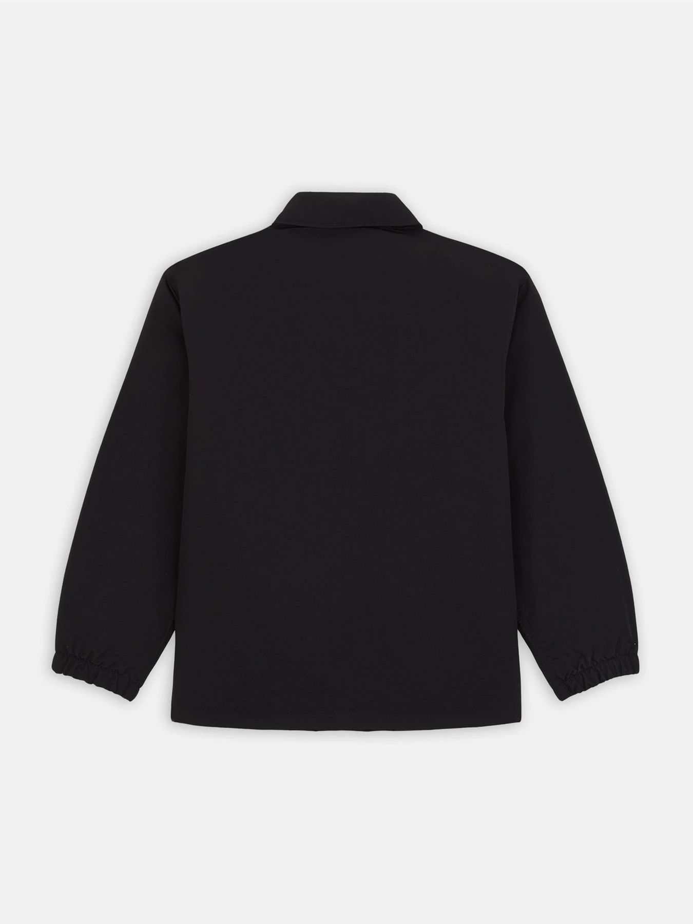Куртки та дублянки Dickies Oakport Coach модель DK0KJR31FBK1 Куртки та дублянки Dickies Oakport Coach модель DK0KJR31FBK1 Фото