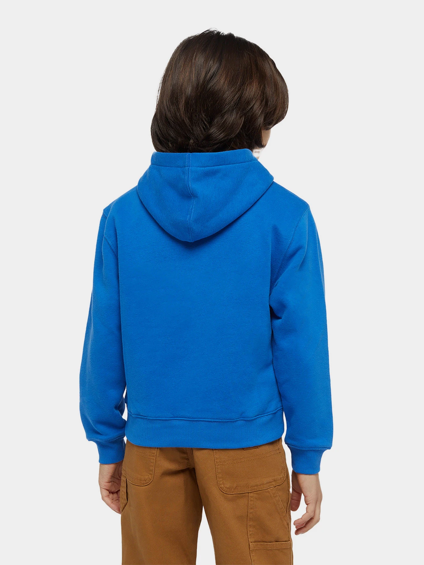 Худи и свитшоты Dickies Youth Oakport модель DK0KWR12J531 Худи и свитшоты Dickies Youth Oakport модель DK0KWR12J531 Фото