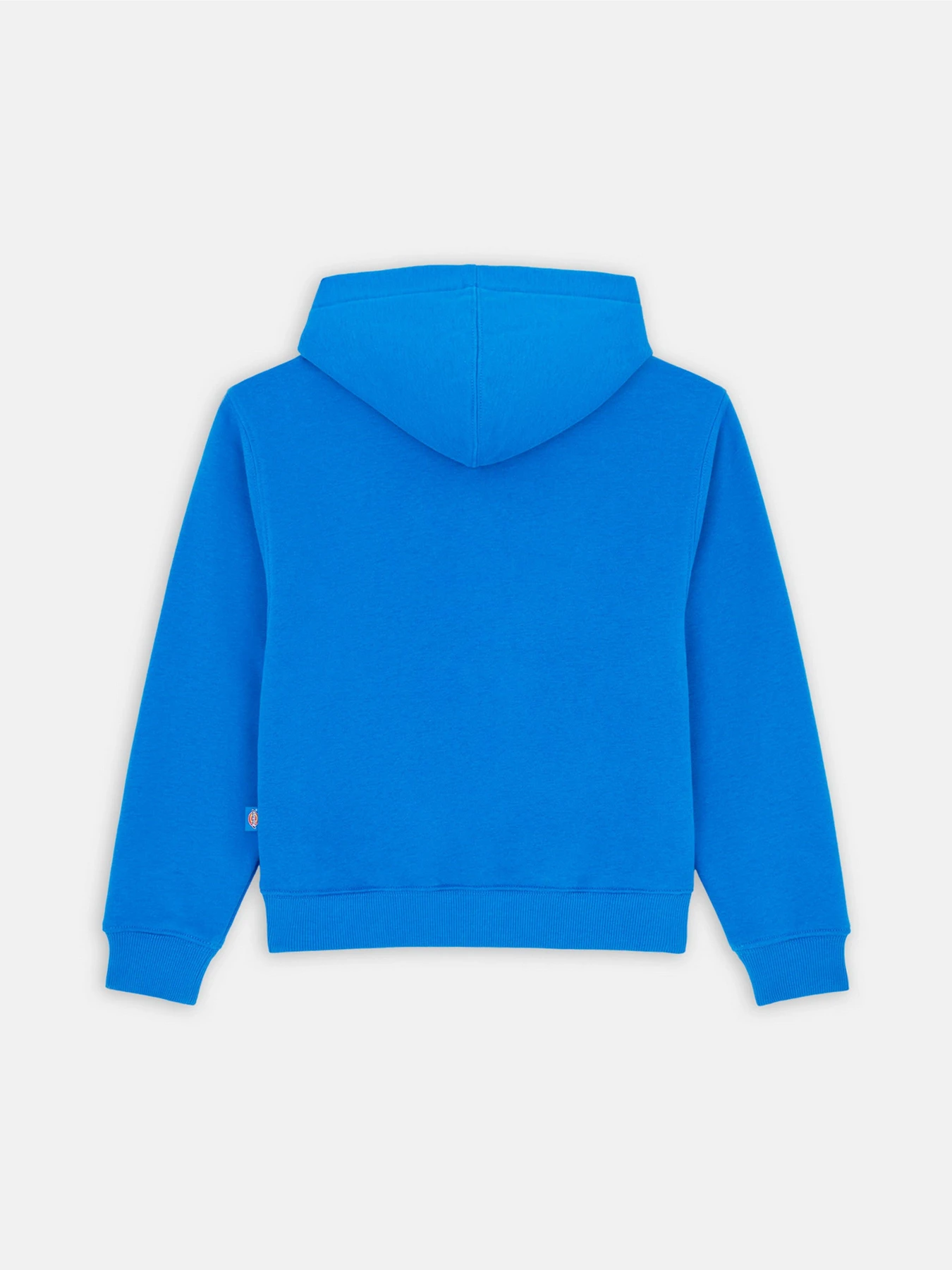 Худи и свитшоты Dickies Youth Oakport модель DK0KWR12J531 Худи и свитшоты Dickies Youth Oakport модель DK0KWR12J531 Фото