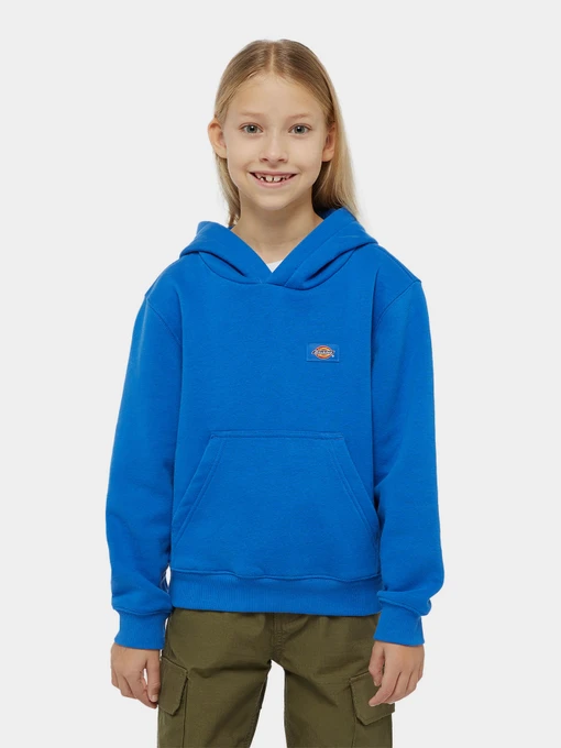 Худи и свитшоты Dickies Youth Oakport модель DK0KWR12J531 Фото