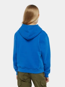 Худи и свитшоты Dickies Youth Oakport модель DK0KWR12J531 Фото