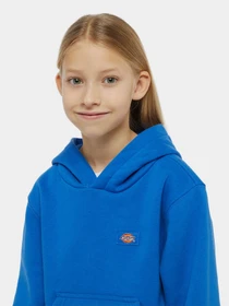 Худи и свитшоты Dickies Youth Oakport модель DK0KWR12J531 Фото