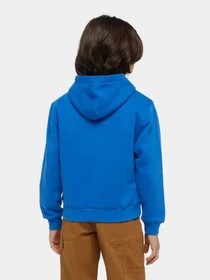 Худи и свитшоты Dickies Youth Oakport модель DK0KWR12J531 Фото