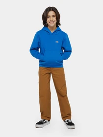 Худи и свитшоты Dickies Youth Oakport модель DK0KWR12J531 Фото