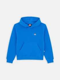 Худи и свитшоты Dickies Youth Oakport модель DK0KWR12J531 Фото