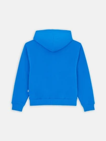 Худи и свитшоты Dickies Youth Oakport модель DK0KWR12J531 Фото