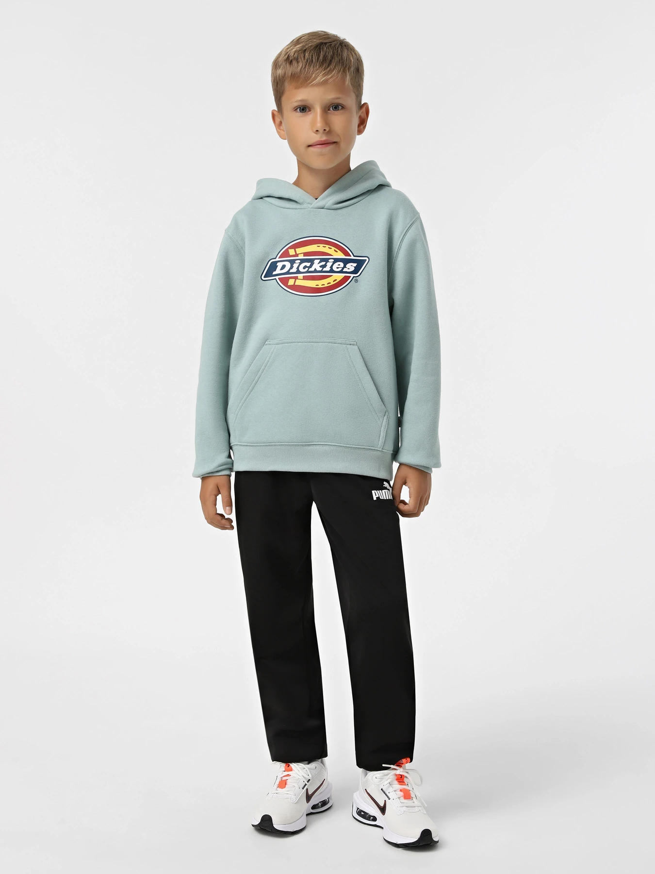 Худі та світшоти Dickies Youth Logo модель DK0KWR27J591 Фото