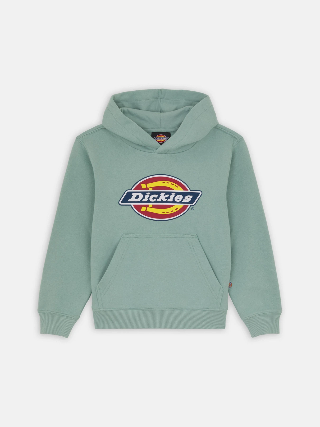 Худі та світшоти Dickies Youth Logo модель DK0KWR27J591 Фото