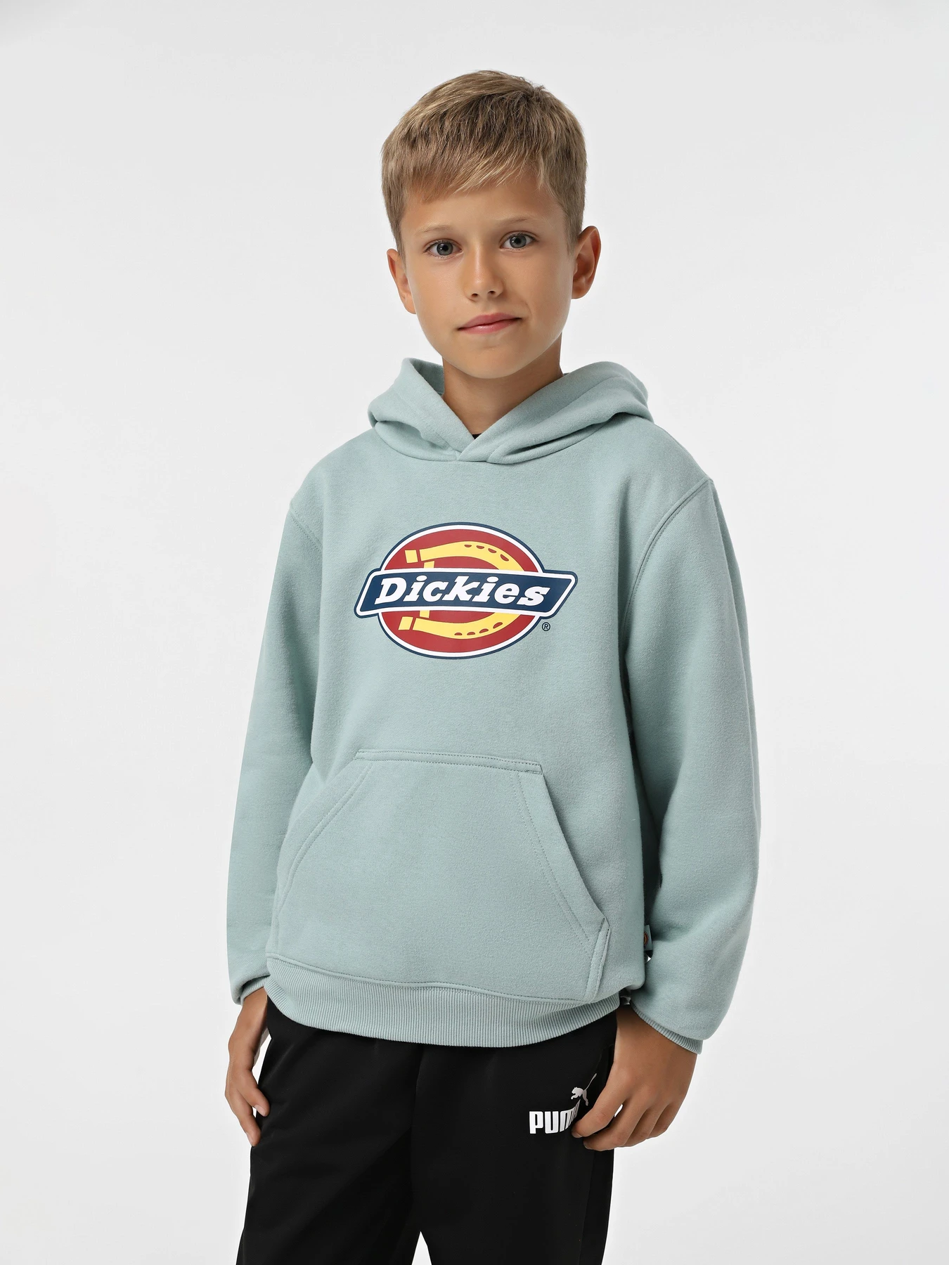 Худі та світшоти Dickies Youth Logo модель DK0KWR27J591 Фото