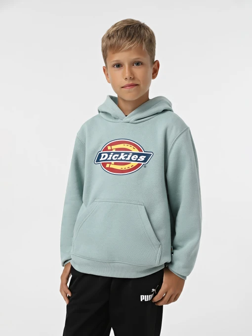 Худі та світшоти Dickies Youth Logo модель DK0KWR27J591 Фото