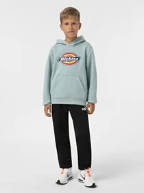 Худі та світшоти Dickies Youth Logo модель DK0KWR27J591 Фото