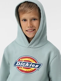 Худі та світшоти Dickies Youth Logo модель DK0KWR27J591 Фото