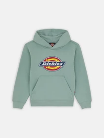 Худі та світшоти Dickies Youth Logo модель DK0KWR27J591 Фото