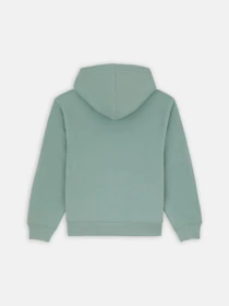 Худі та світшоти Dickies Youth Logo модель DK0KWR27J591 Фото