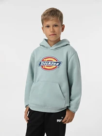 Худи и свитшоты Dickies Youth Logo модель DK0KWR27J591 Фото