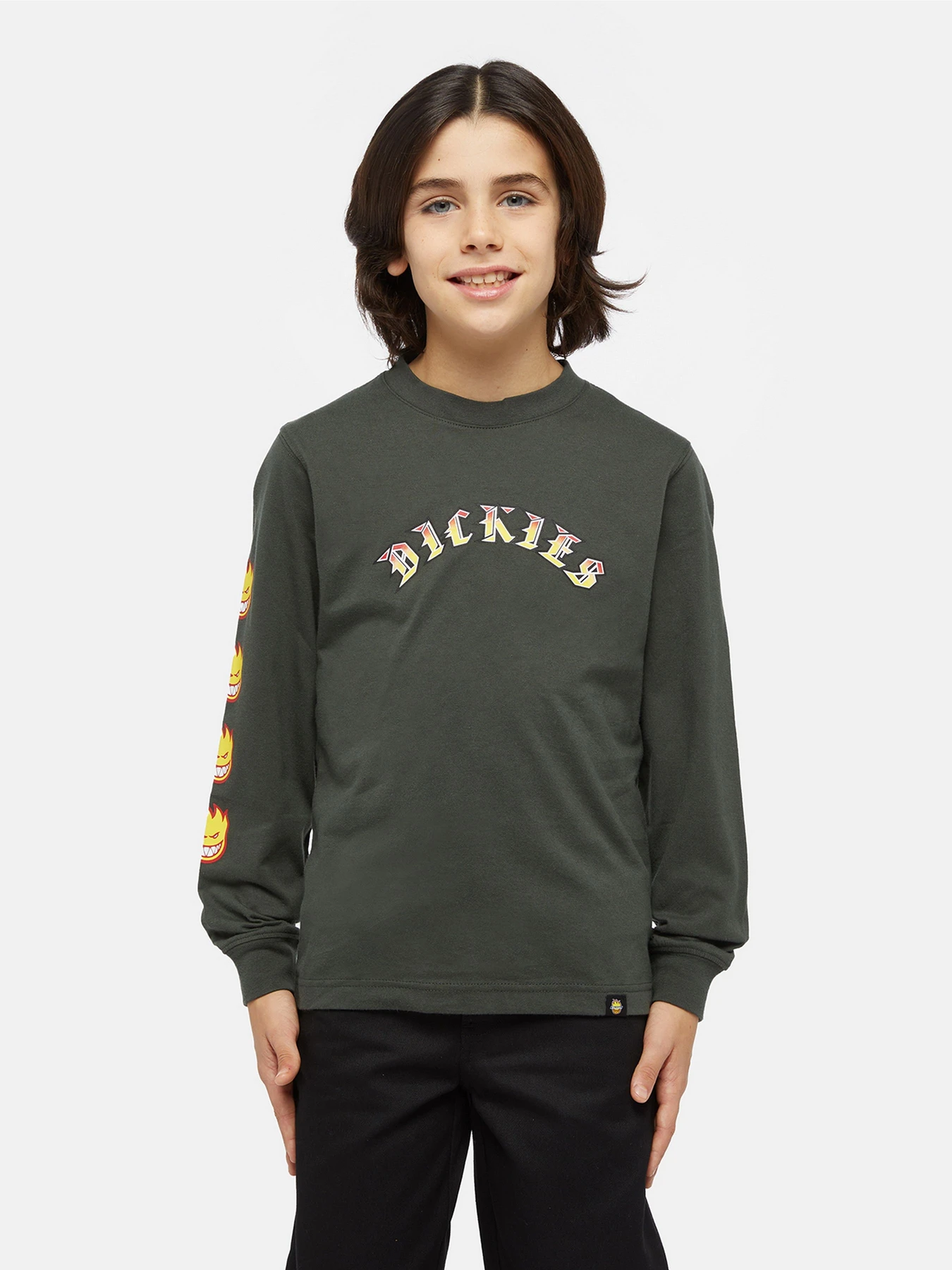 Худи и свитшоты Dickies x Spitfire модель DK0A86660OG1 Фото