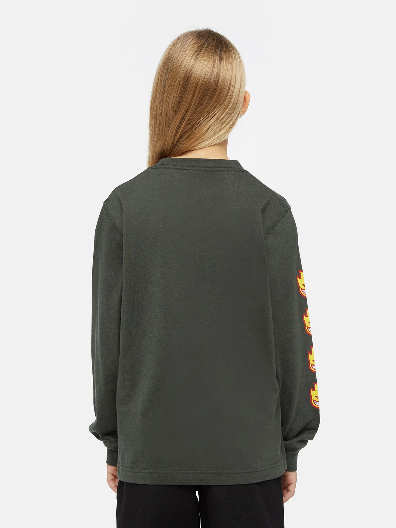 Худи и свитшоты Dickies x Spitfire модель DK0A86660OG1 Фото