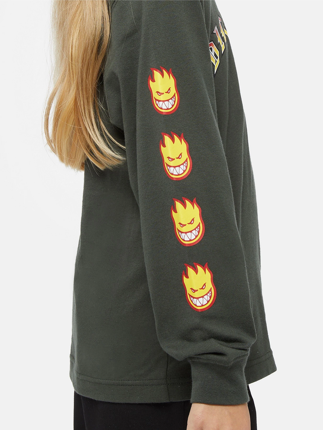 Худи и свитшоты Dickies x Spitfire модель DK0A86660OG1 Фото