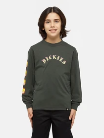 Худи и свитшоты Dickies x Spitfire модель DK0A86660OG1 Фото