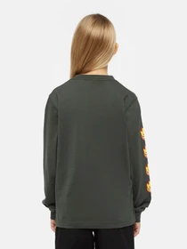 Худи и свитшоты Dickies x Spitfire модель DK0A86660OG1 Фото
