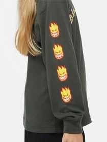 Худи и свитшоты Dickies x Spitfire модель DK0A86660OG1 Фото