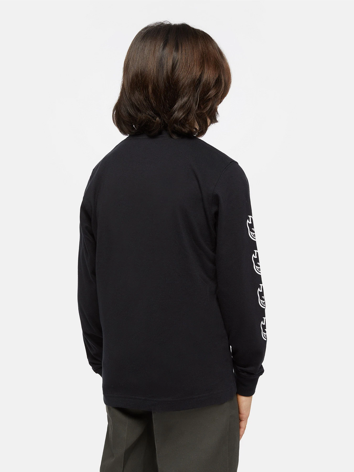 Худи и свитшоты Dickies x Spitfire модель DK0A8666BLK1 Фото