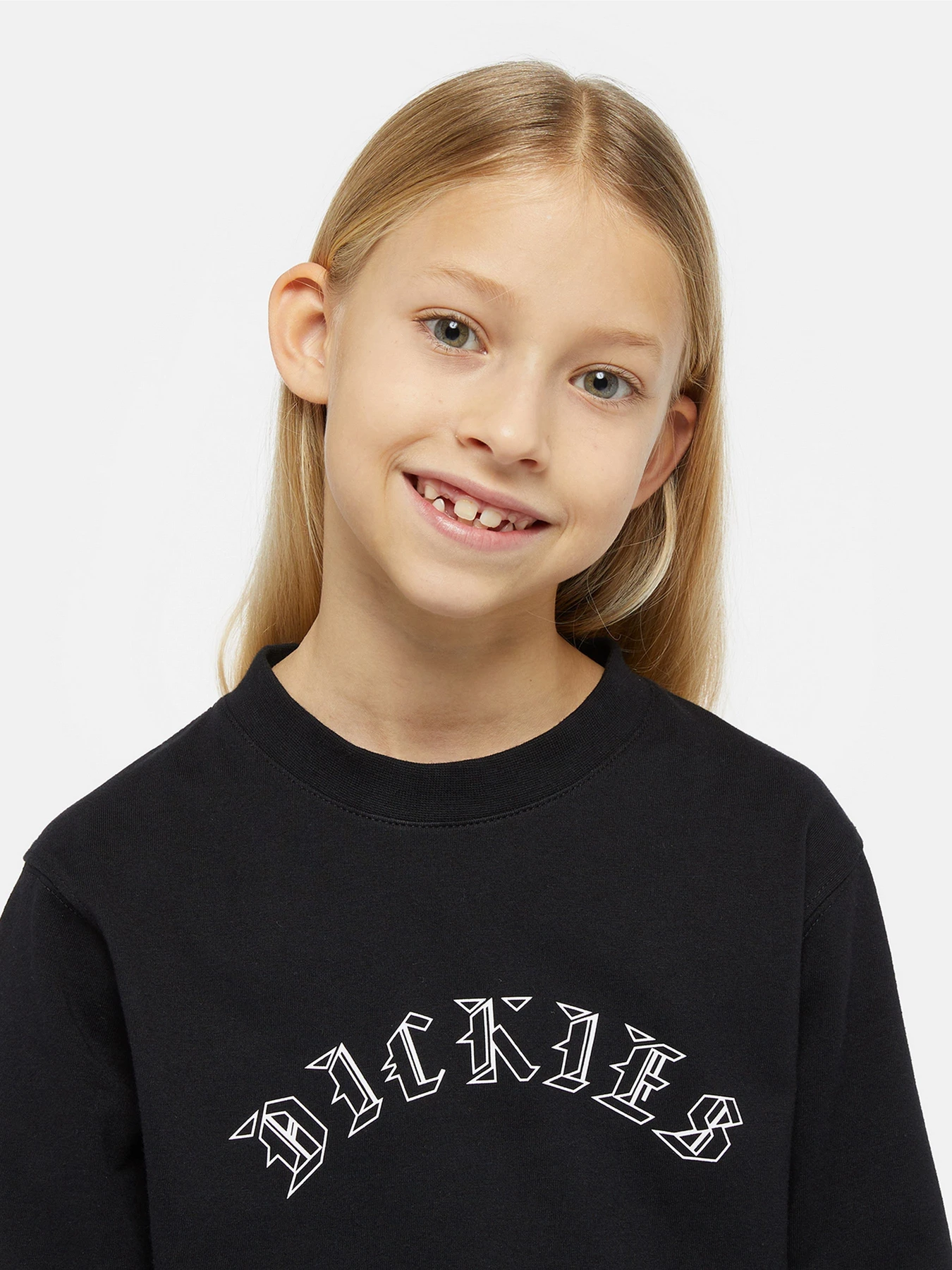 Худи и свитшоты Dickies x Spitfire модель DK0A8666BLK1 Фото