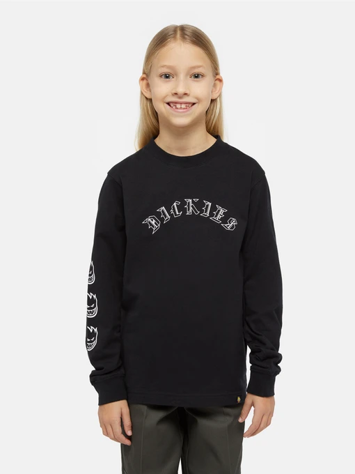 Худі та світшоти Dickies x Spitfire модель DK0A8666BLK1 Фото