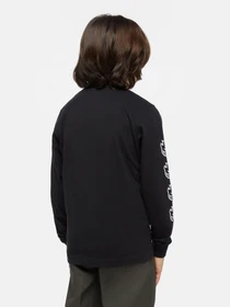 Худи и свитшоты Dickies x Spitfire модель DK0A8666BLK1 Фото