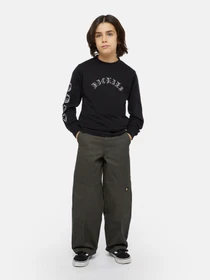 Худи и свитшоты Dickies x Spitfire модель DK0A8666BLK1 Фото