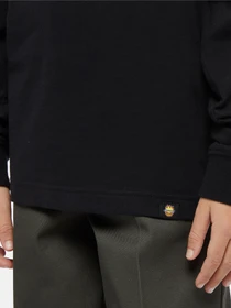 Худи и свитшоты Dickies x Spitfire модель DK0A8666BLK1 Фото