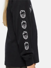 Худи и свитшоты Dickies x Spitfire модель DK0A8666BLK1 Фото