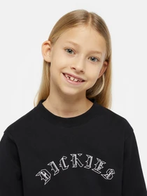 Худи и свитшоты Dickies x Spitfire модель DK0A8666BLK1 Фото