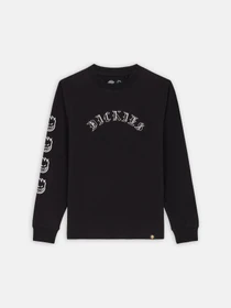 Худи и свитшоты Dickies x Spitfire модель DK0A8666BLK1 Фото