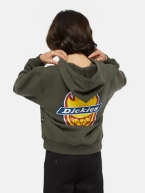 Худи и свитшоты Dickies x Spitfire модель DK0A86670OG1 Фото