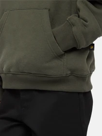 Худи и свитшоты Dickies x Spitfire модель DK0A86670OG1 Фото