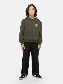 Худи и свитшоты Dickies x Spitfire модель DK0A86670OG1 Фото