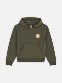 Худи и свитшоты Dickies x Spitfire модель DK0A86670OG1 Фото