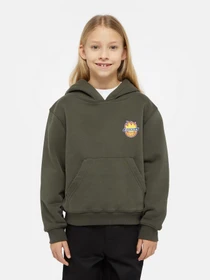 Худі та світшоти Dickies x Spitfire модель DK0A86670OG1 Фото