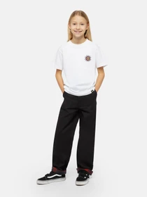 Штани Dickies x Spitfire модель DK0A8668BLK1 Фото