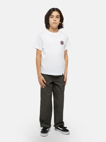 Штани Dickies x Spitfire модель DK0A86690OG1 Фото