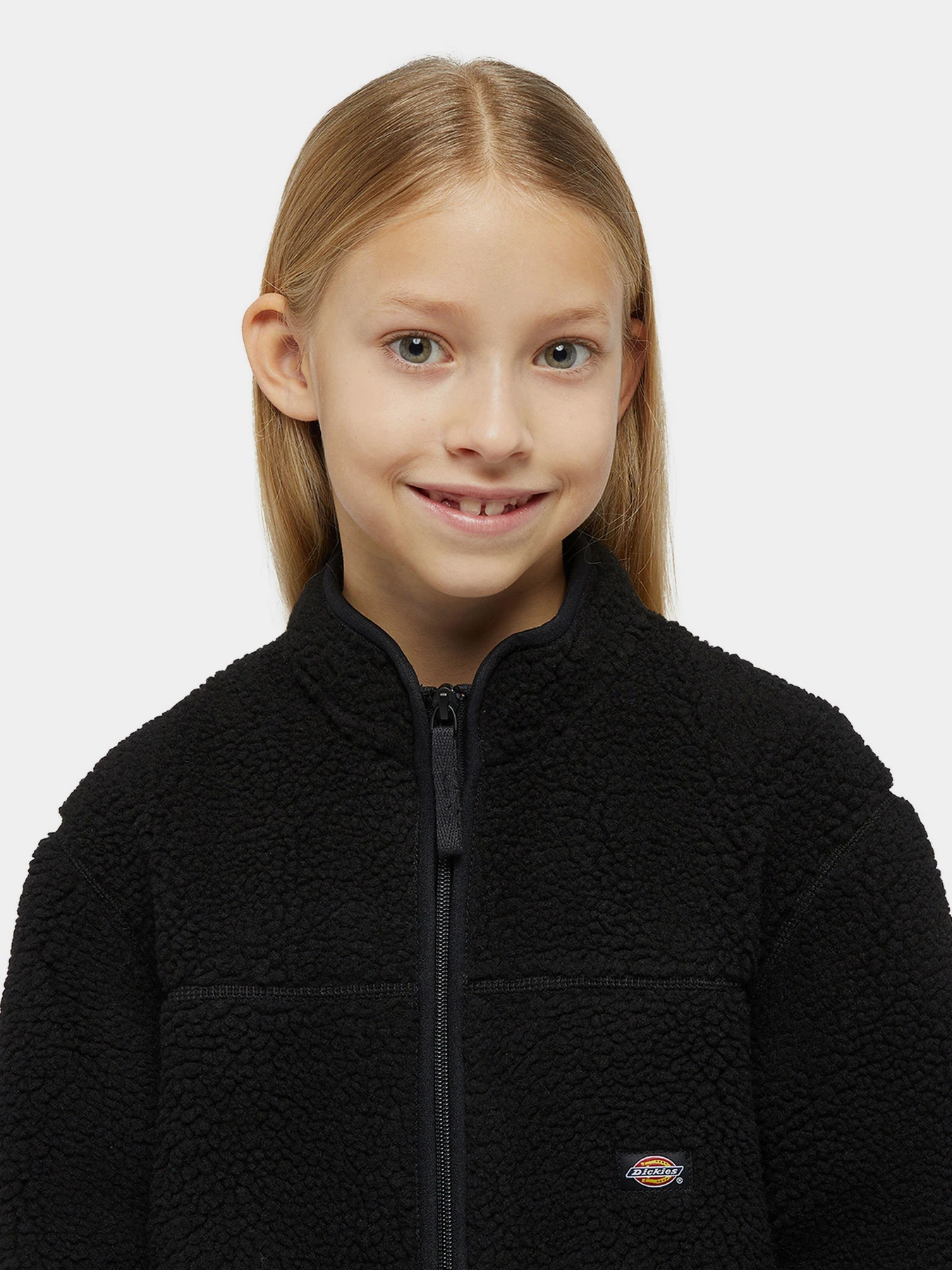 Худі та світшоти Dickies Mount Hope Fleece модель DK0A4Z3TBLK1 Худі та світшоти Dickies Mount Hope Fleece модель DK0A4Z3TBLK1 Фото