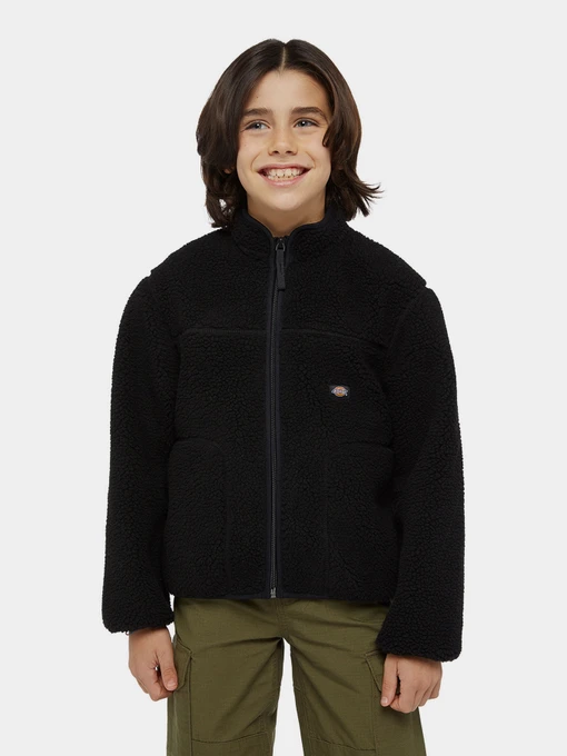 Худі та світшоти Dickies Mount Hope Fleece модель DK0A4Z3TBLK1 Фото