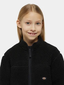 Худі та світшоти Dickies Mount Hope Fleece модель DK0A4Z3TBLK1 Фото
