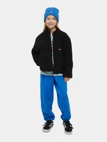 Худі та світшоти Dickies Mount Hope Fleece модель DK0A4Z3TBLK1 Фото