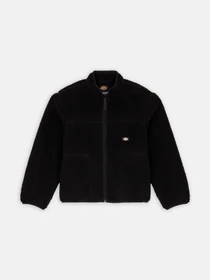 Худі та світшоти Dickies Mount Hope Fleece модель DK0A4Z3TBLK1 Фото